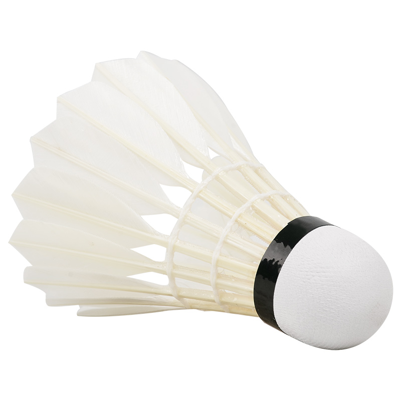 新しいプロのバドミントンボールg200,12個,白いガチョウ - Badminton Event のレビューと価格